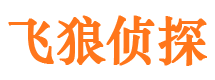 蓬安市私家侦探